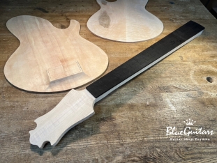 TEMPESTA 5st - Organic Texture